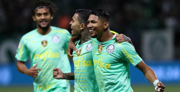 Palmeiras vence o Avaí em casa (Cesar Greco/Palmeiras)